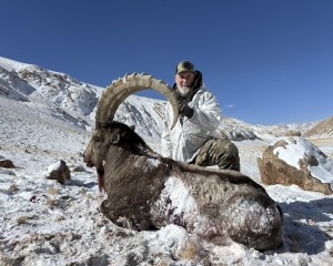 ibex-1536x1152-1
